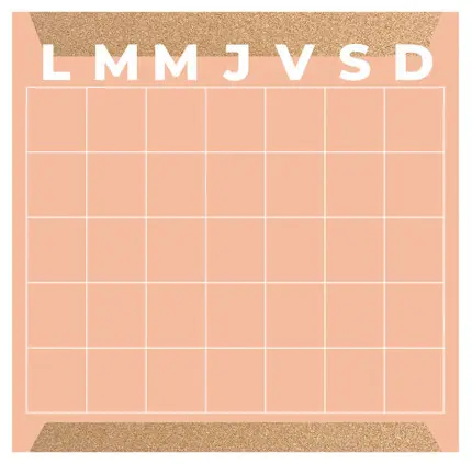 [6093] PLANEADOR MENSUAL ALFRA MIXTO CORAL 30X30 CM